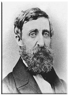 Essays about henry david thoreau